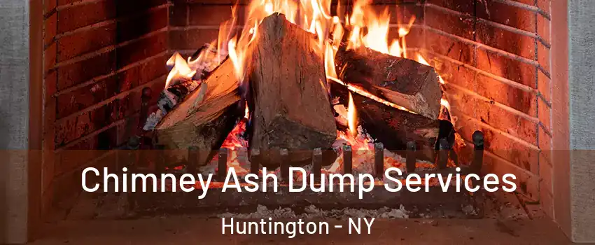  Chimney Ash Dump Services Huntington - NY