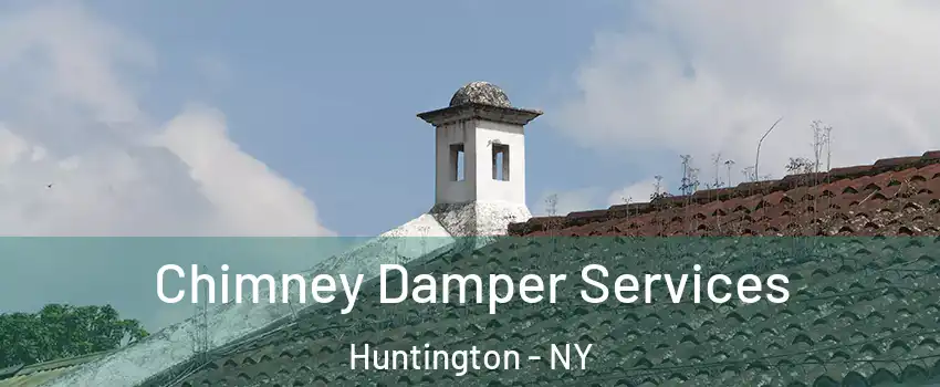  Chimney Damper Services Huntington - NY