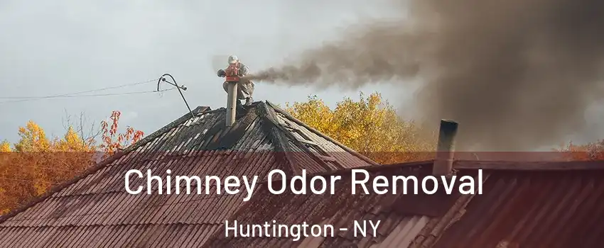  Chimney Odor Removal Huntington - NY