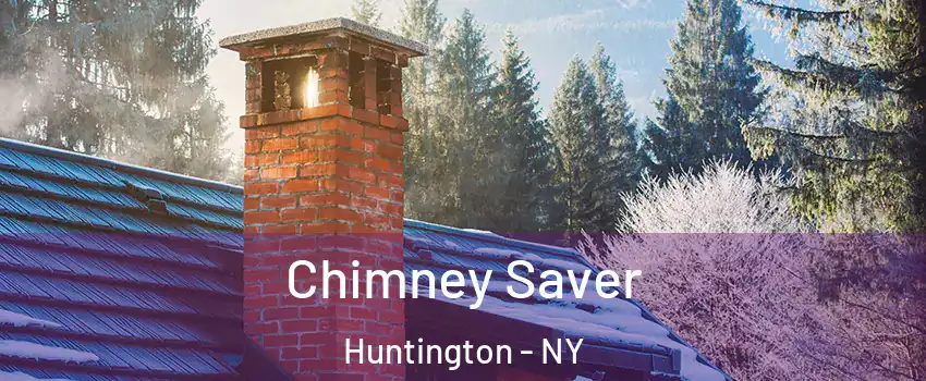 Chimney Saver Huntington - NY