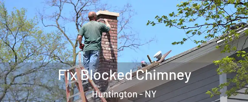  Fix Blocked Chimney Huntington - NY