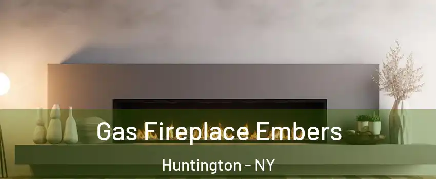  Gas Fireplace Embers Huntington - NY