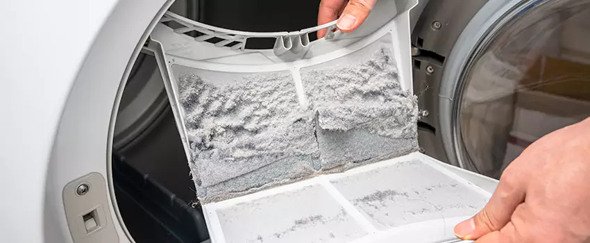 Best Dryer Lint Removal Company in Huntington, New York