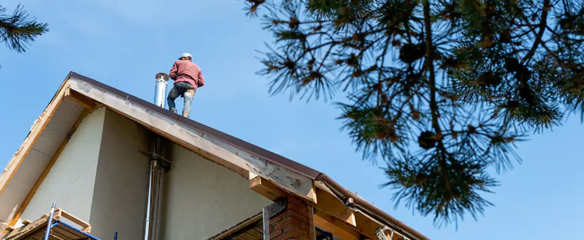Birds Removal Contractors from Chimney in Huntington, NY