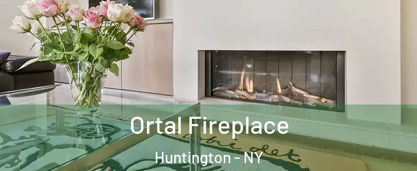 Ortal Fireplace Huntington - NY
