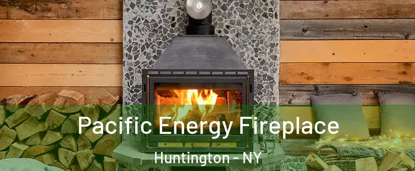  Pacific Energy Fireplace Huntington - NY